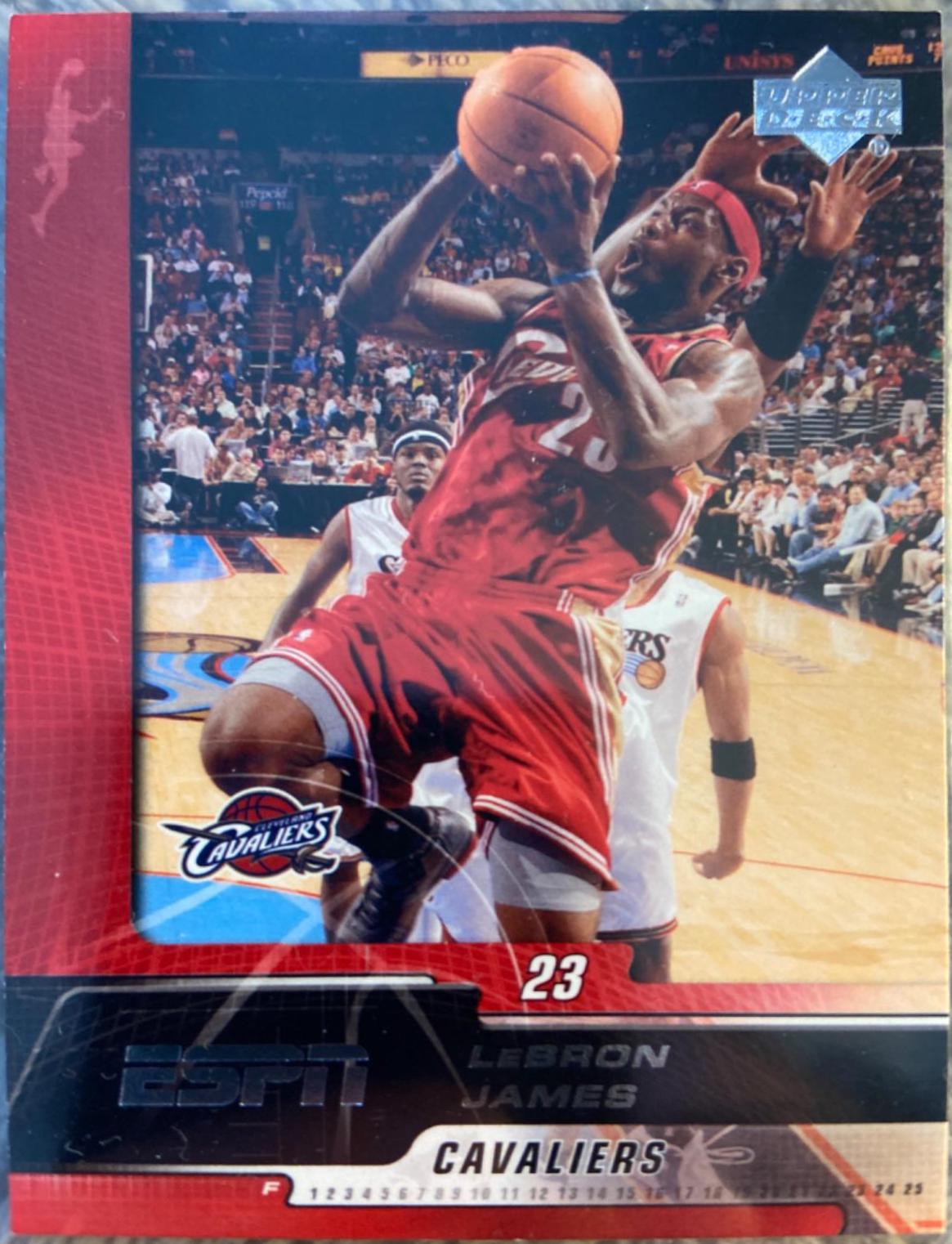 LeBron James #14