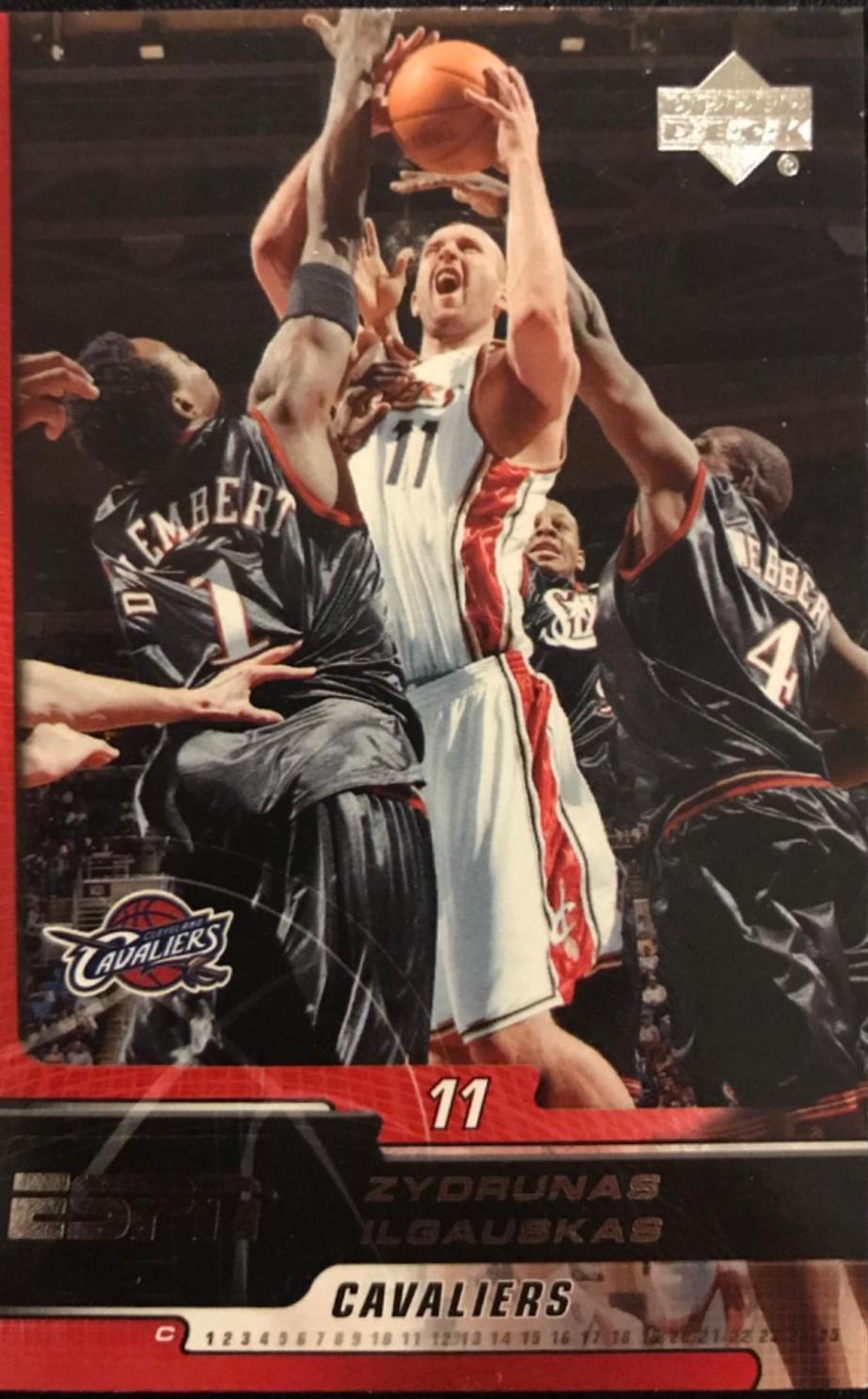 Zydrunas Ilgauskas #15