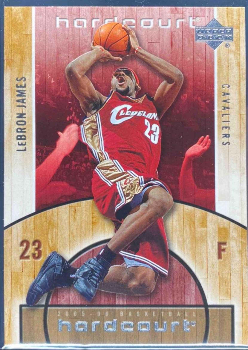 LeBron James #14