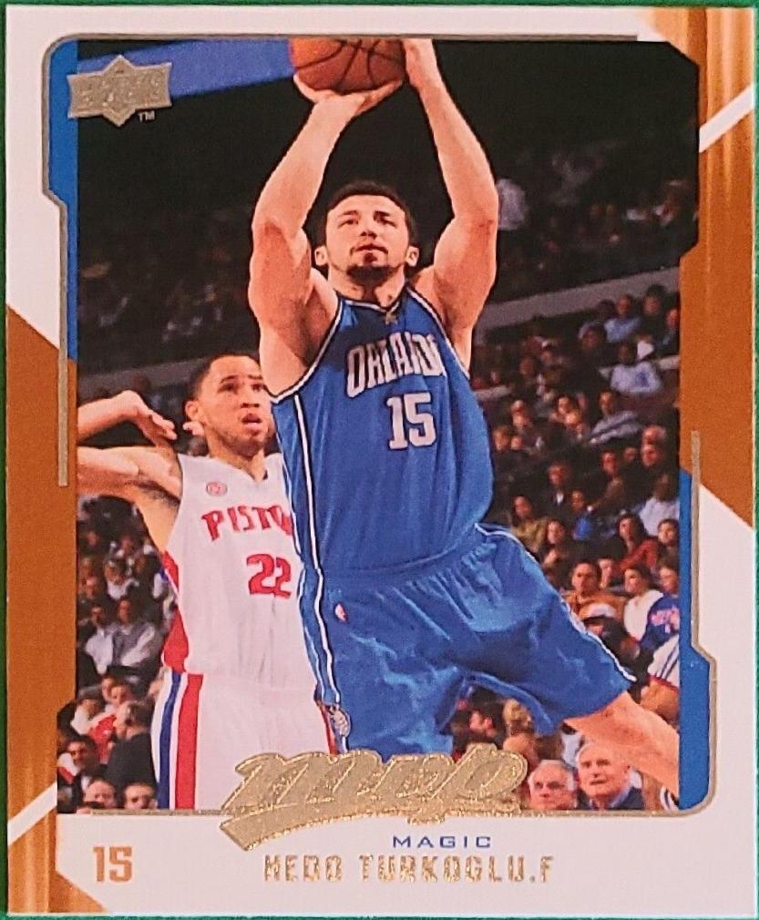Hedo Turkoglu #113