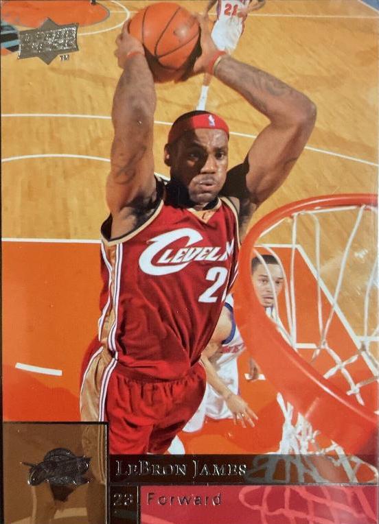 LeBron James #28