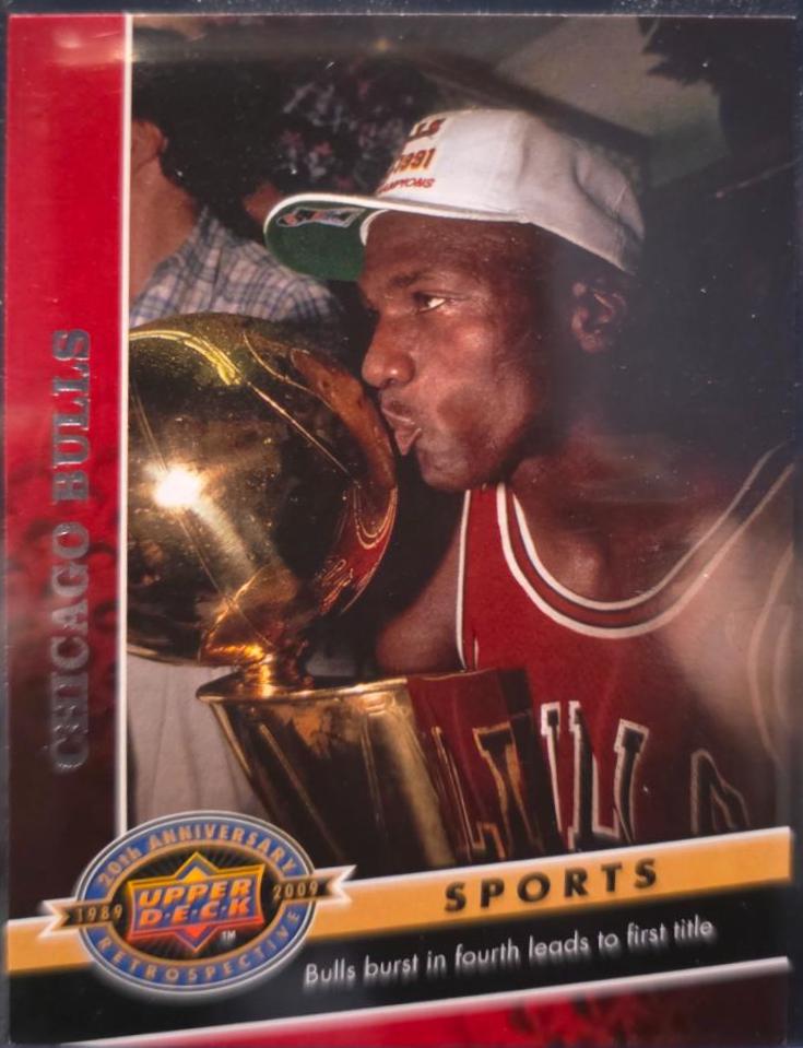 Michael Jordan #310