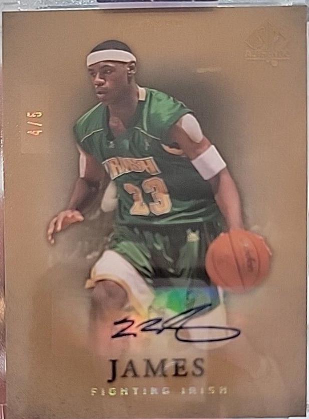 LeBron James [Gold Autograph] #17