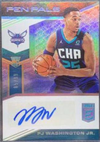 PJ Washington Jr. #PP-PJW