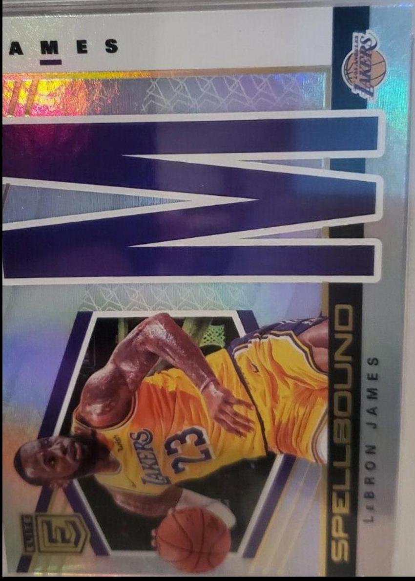 LeBron James #3