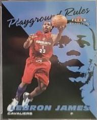 LeBron James #1