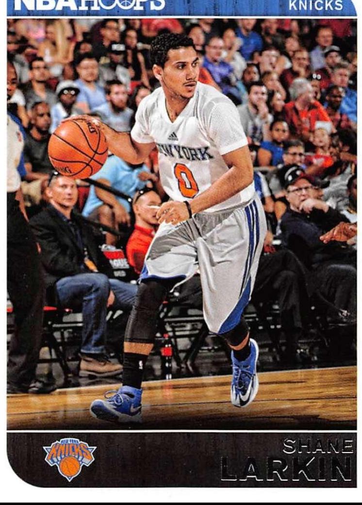 Shane Larkin #129