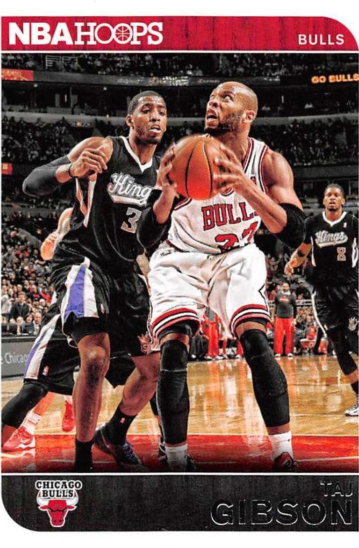 Taj Gibson #25