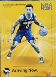 Nickeil Alexander Walker #17