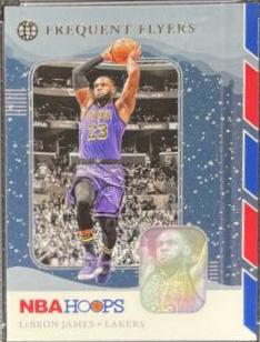 LeBron James [Winter] #15