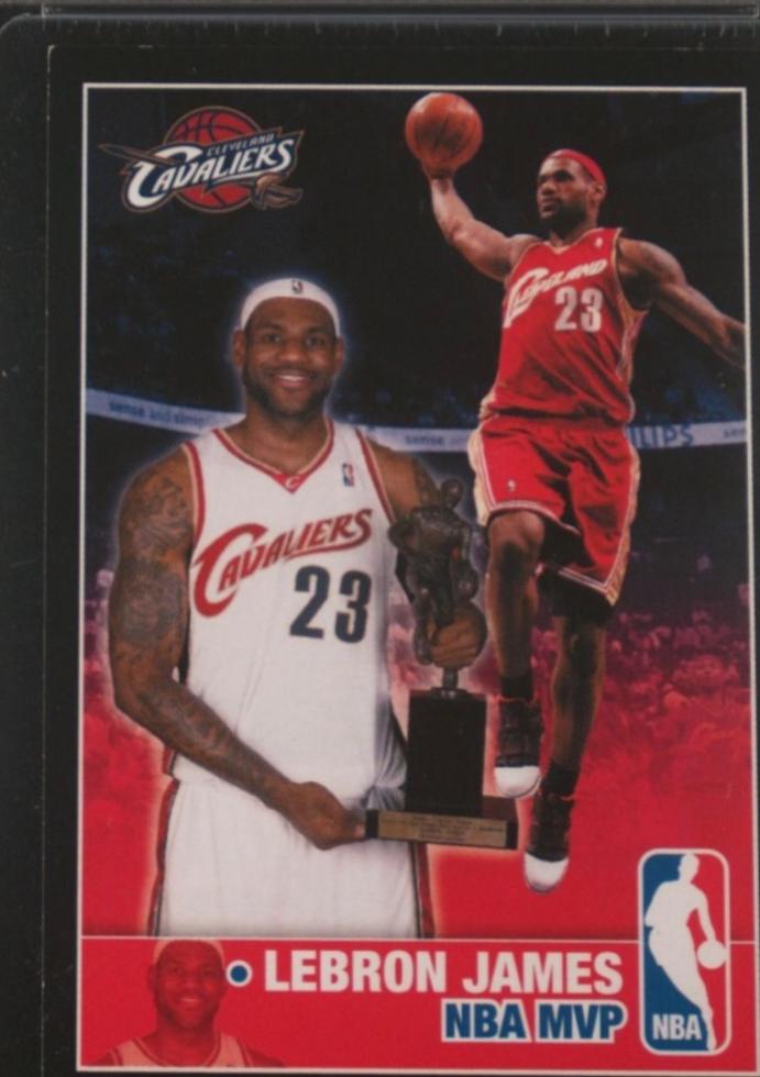LeBron James #381