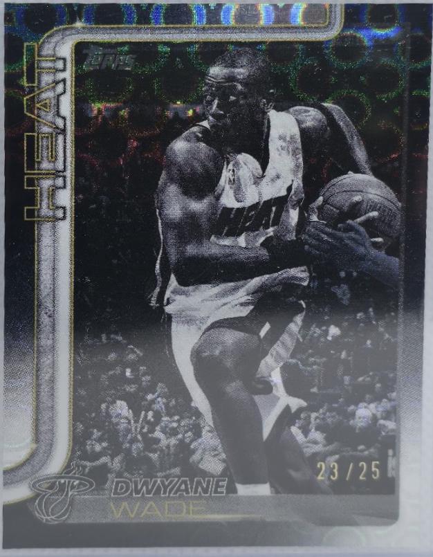 Dwyane Wade [Cart Load] #261