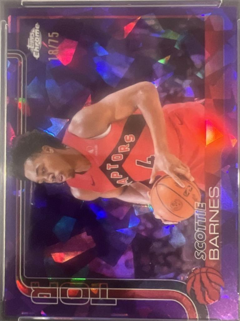 Scottie Barnes [Purple] #203