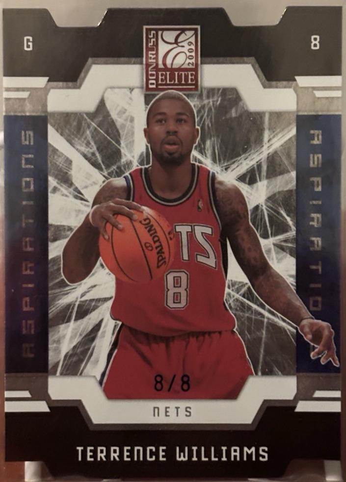 Terrence Williams [Die Cut Aspirations Autograph] #170