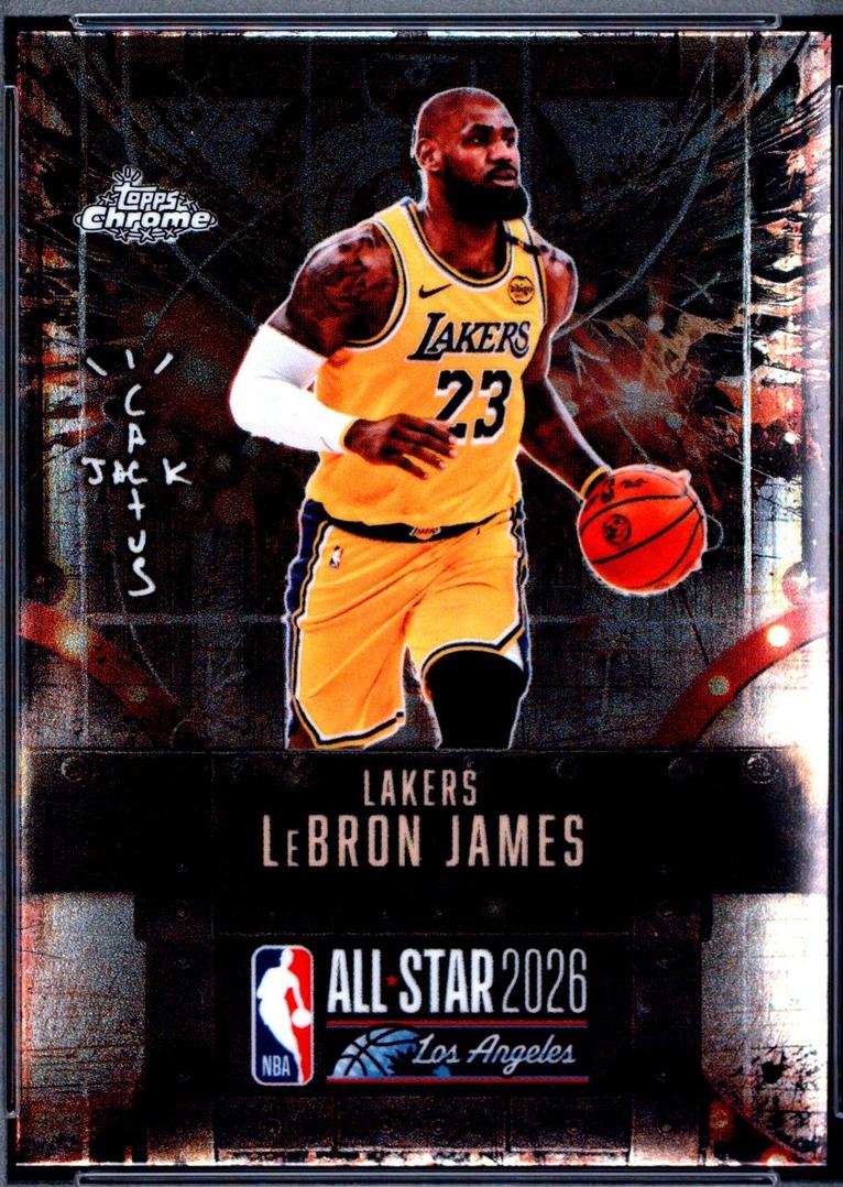 LeBron James #14
