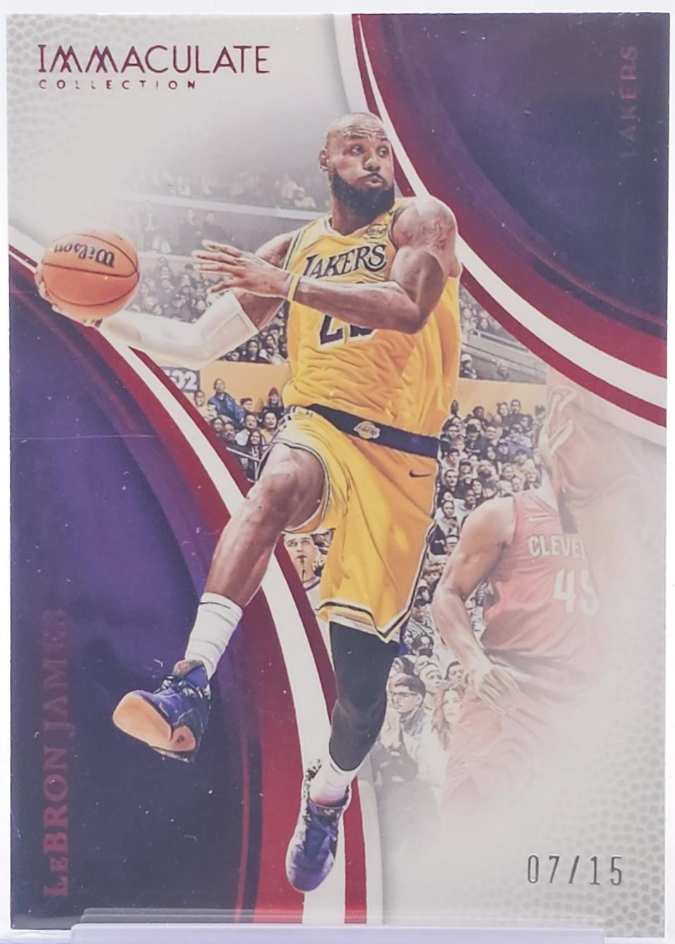 LeBron James [Pink] #65