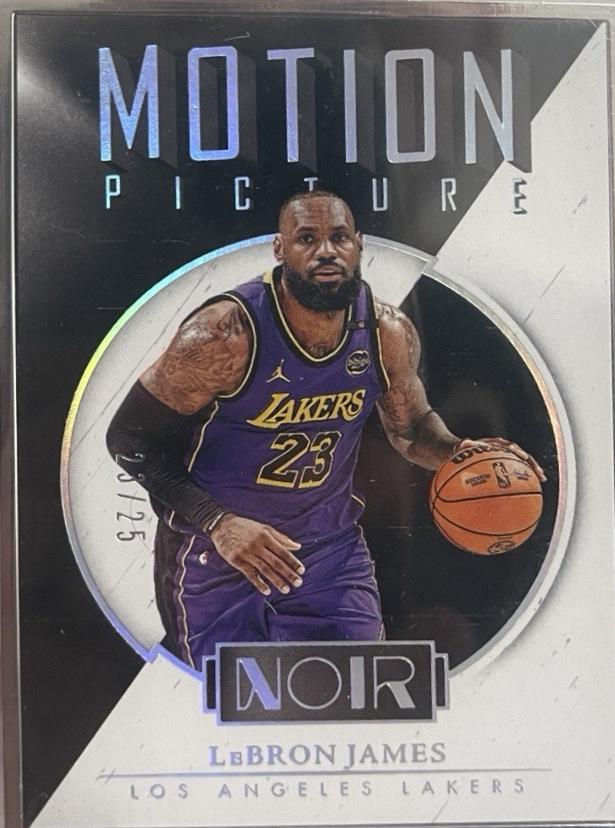 LeBron James #271