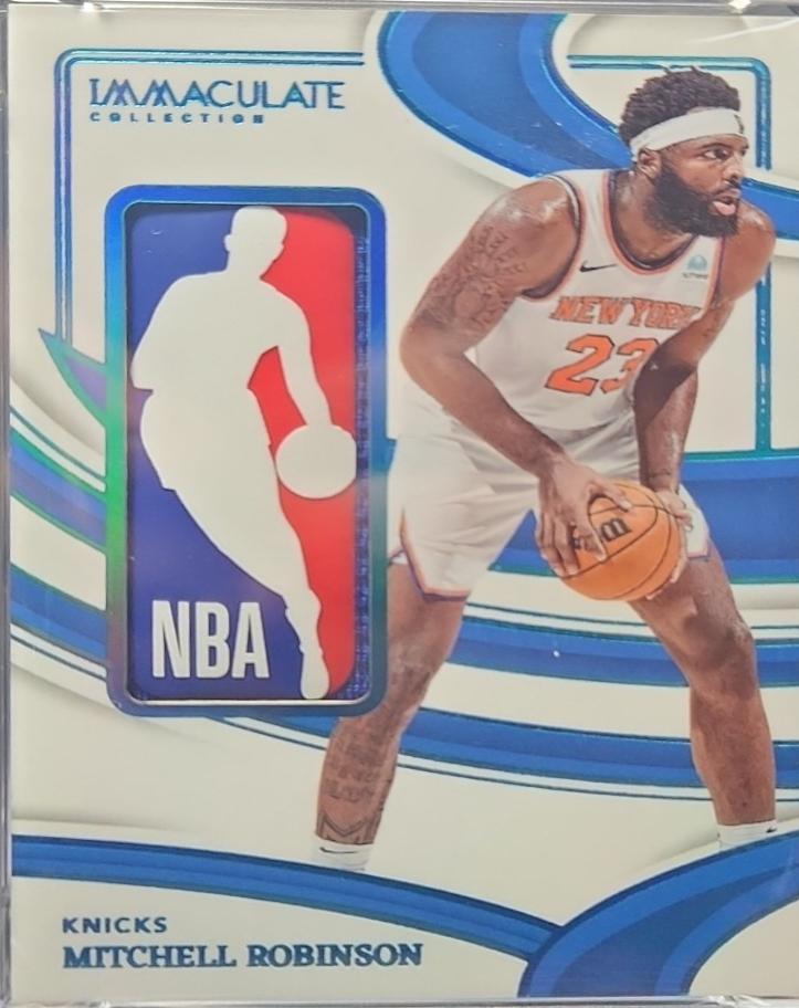Mitchell Robinson #4