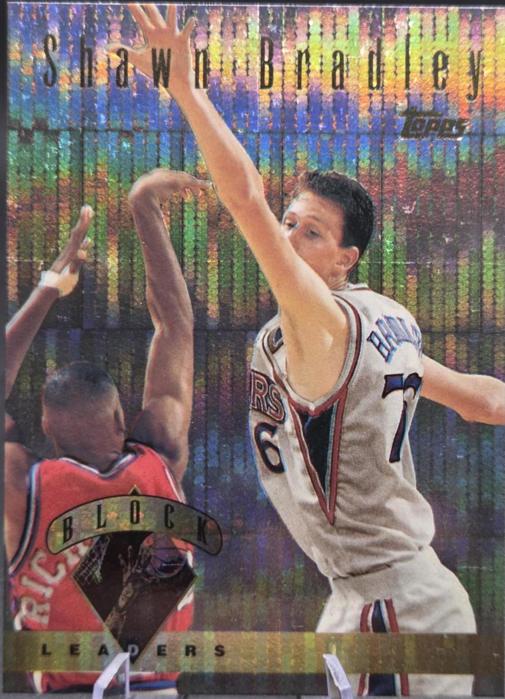 Shawn Bradley #28