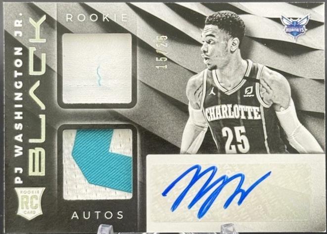 PJ Washington Jr. [Variation Silver]