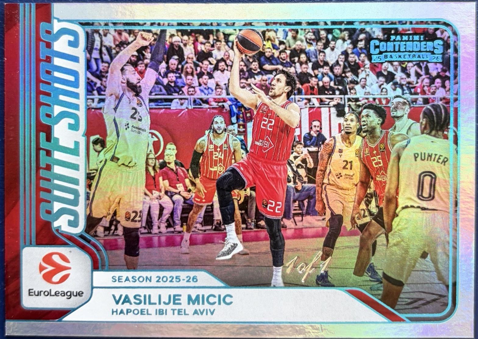 Vasilije Micic [Championship] #30