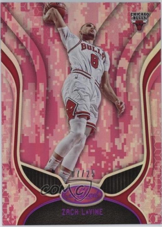 Zach LaVine [Mirror Camo] #39