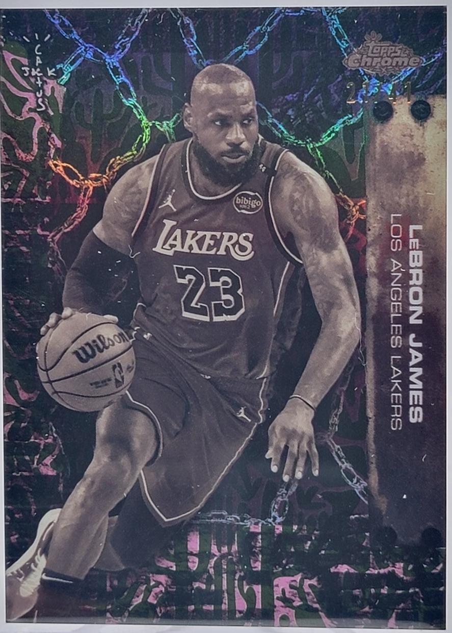 LeBron James [Cactus Jack Refractor] #46