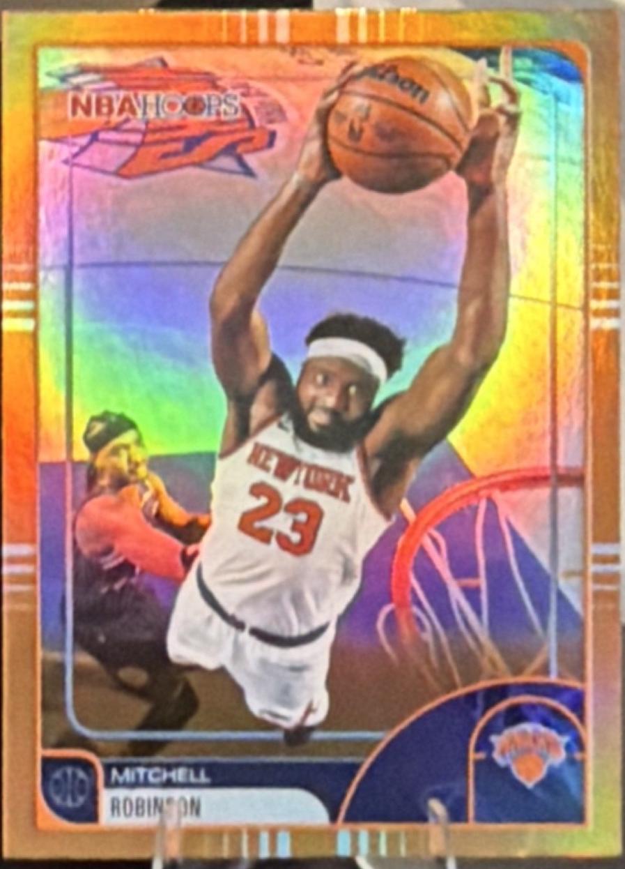Mitchell Robinson [Orange Hoops] #148