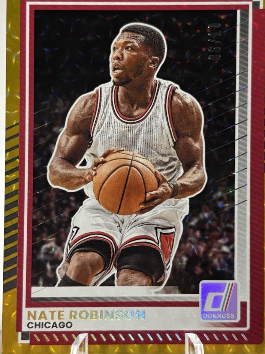 Nate Robinson [Gold] #180