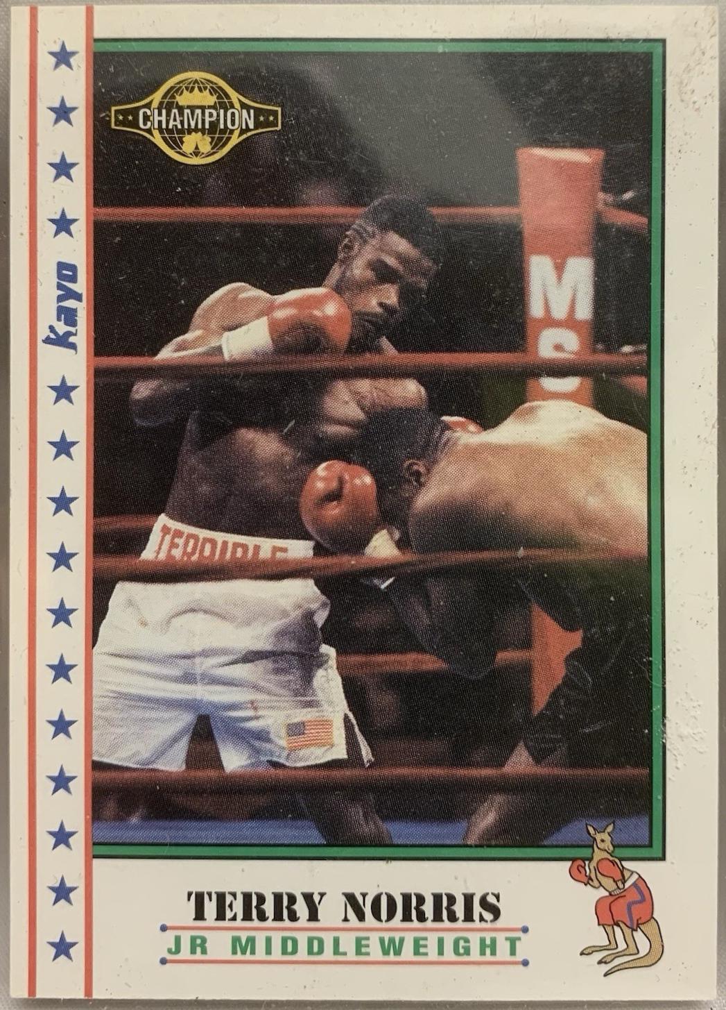 Terry Norris [PROTOTYPE] #251