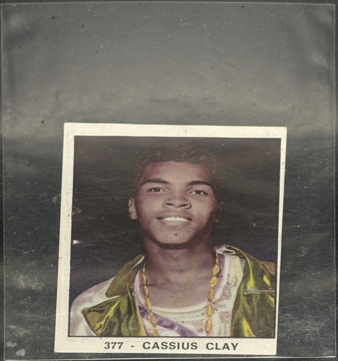 Cassius Clay #377