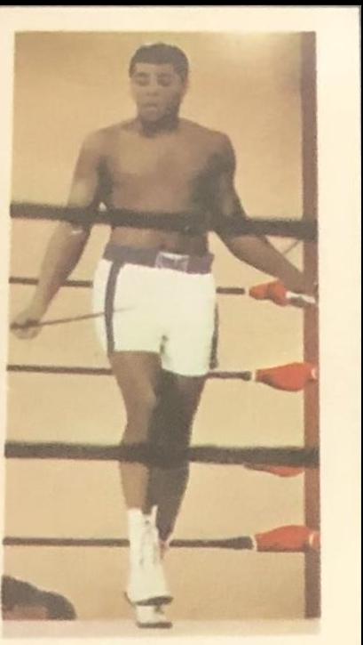 Cassius Clay #24