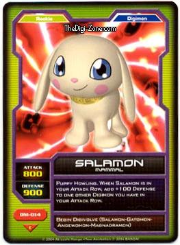 Salamon #DM-014