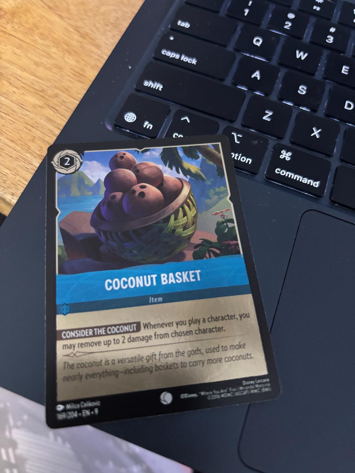Coconut Basket [Foil] #169