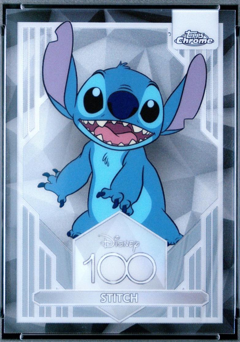 Stitch #18
