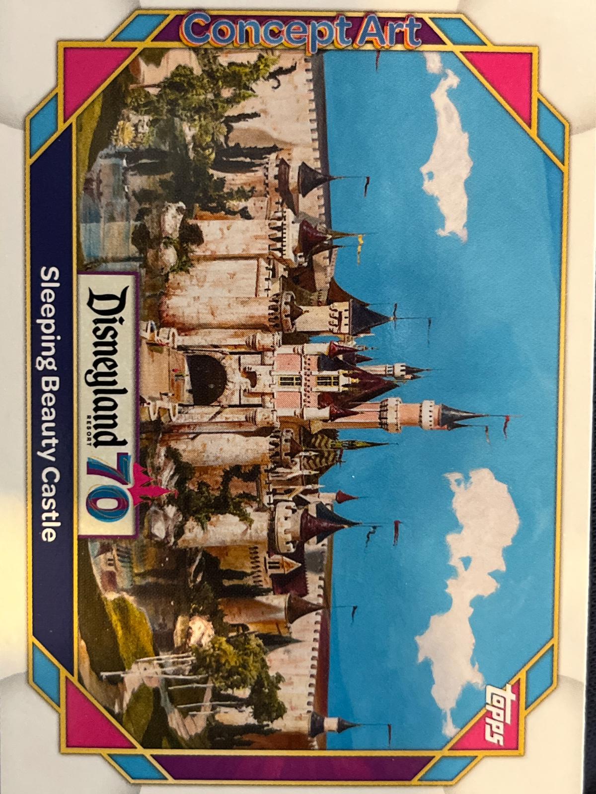 Sleeping Beauty Castle #135