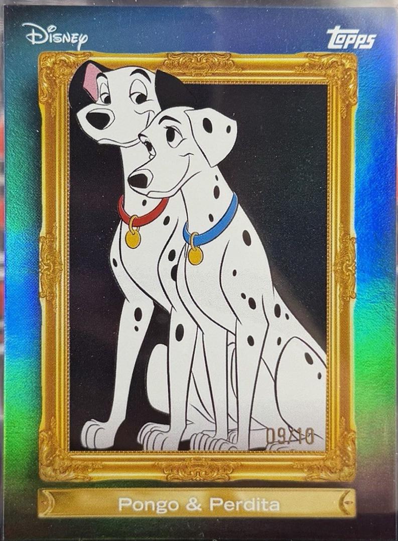 Pongo Perdita [Black] #FF-14
