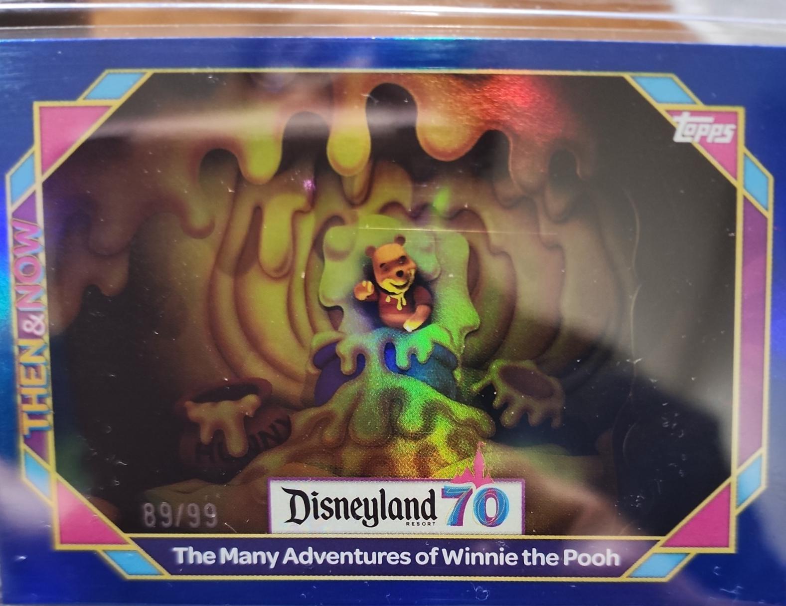 The Many Adventures of Winnie the Pooh #23