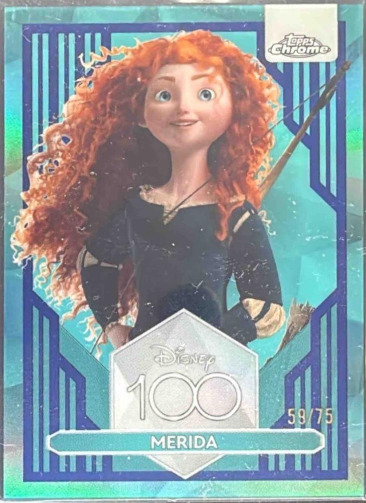 Merida [Dark Blue Light Blue] #37