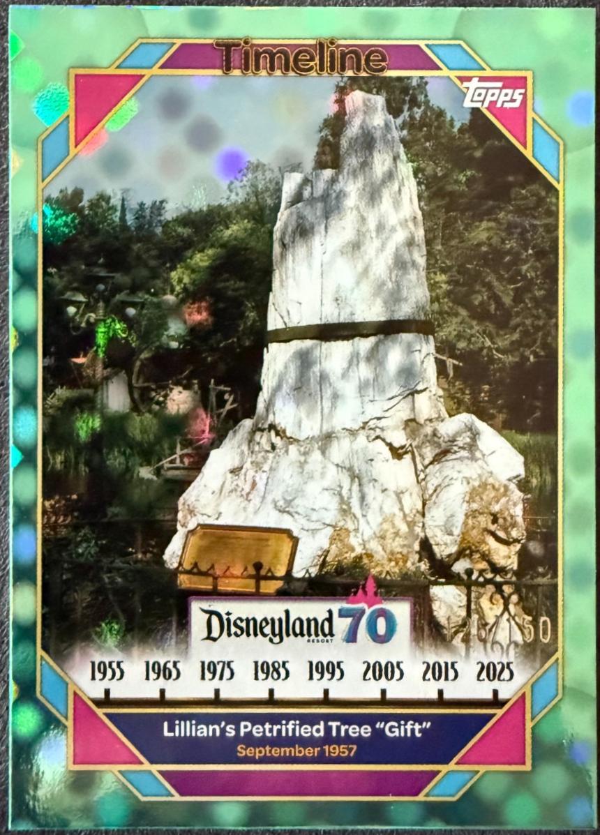 Lillian's Petrified Tree Gift [Aqua Electric Dots] #86