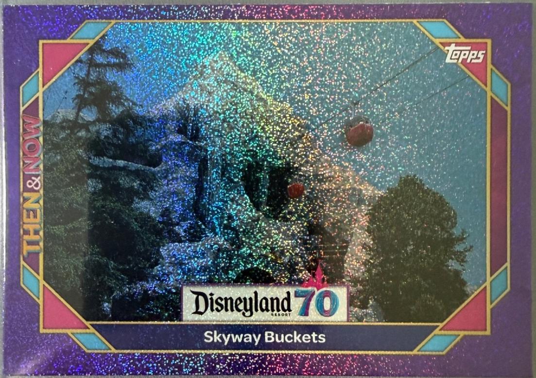 Skyway Buckets #38