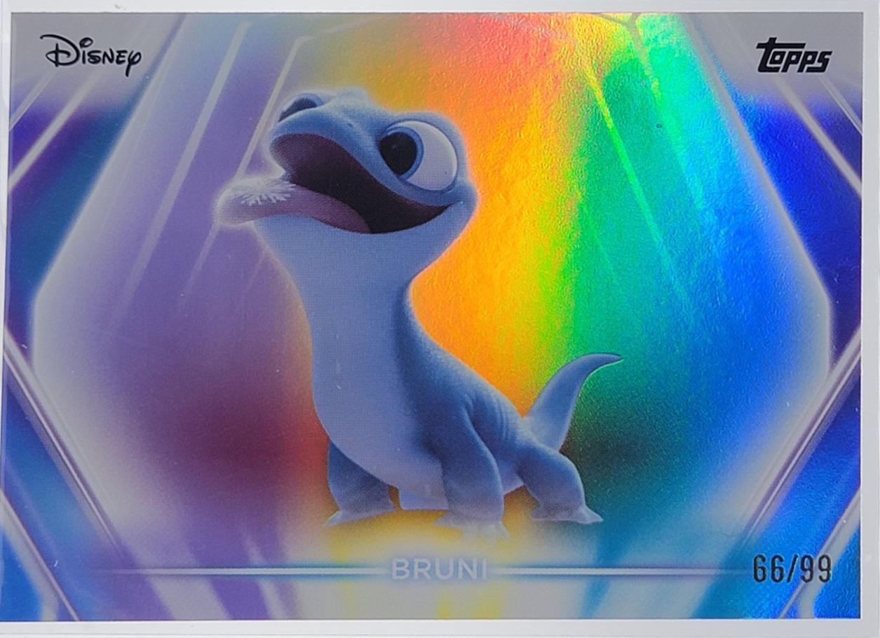 Bruni [Purple Yellow Blue] #50