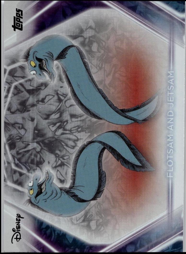 Flotsam and Jetsam [Snow Caps] #179