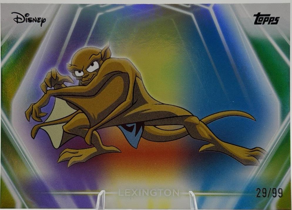 Lexington [Purple Yellow Blue] #139