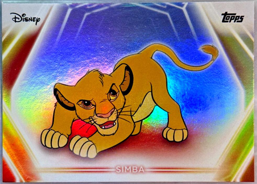 Simba [Rainbow Foilboard] #41