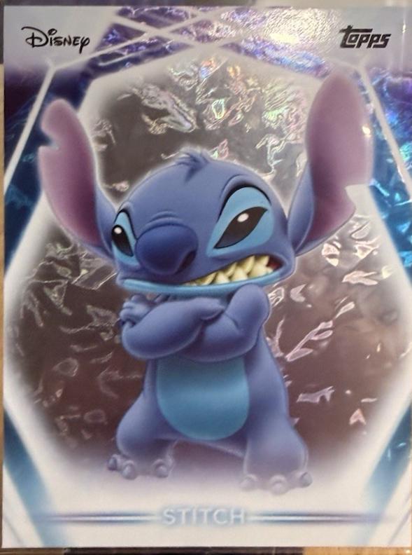 Stitch [Snow Caps] #14