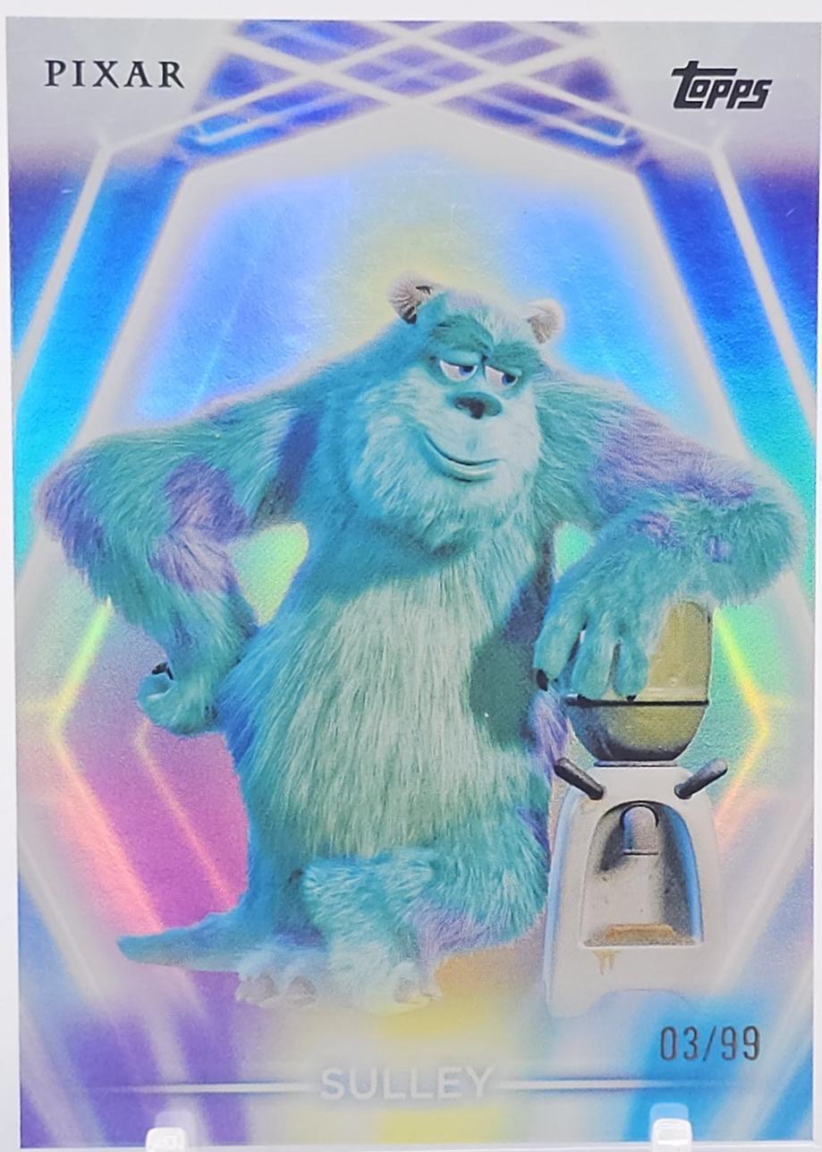 Sulley [Purple Yellow Blue] #118