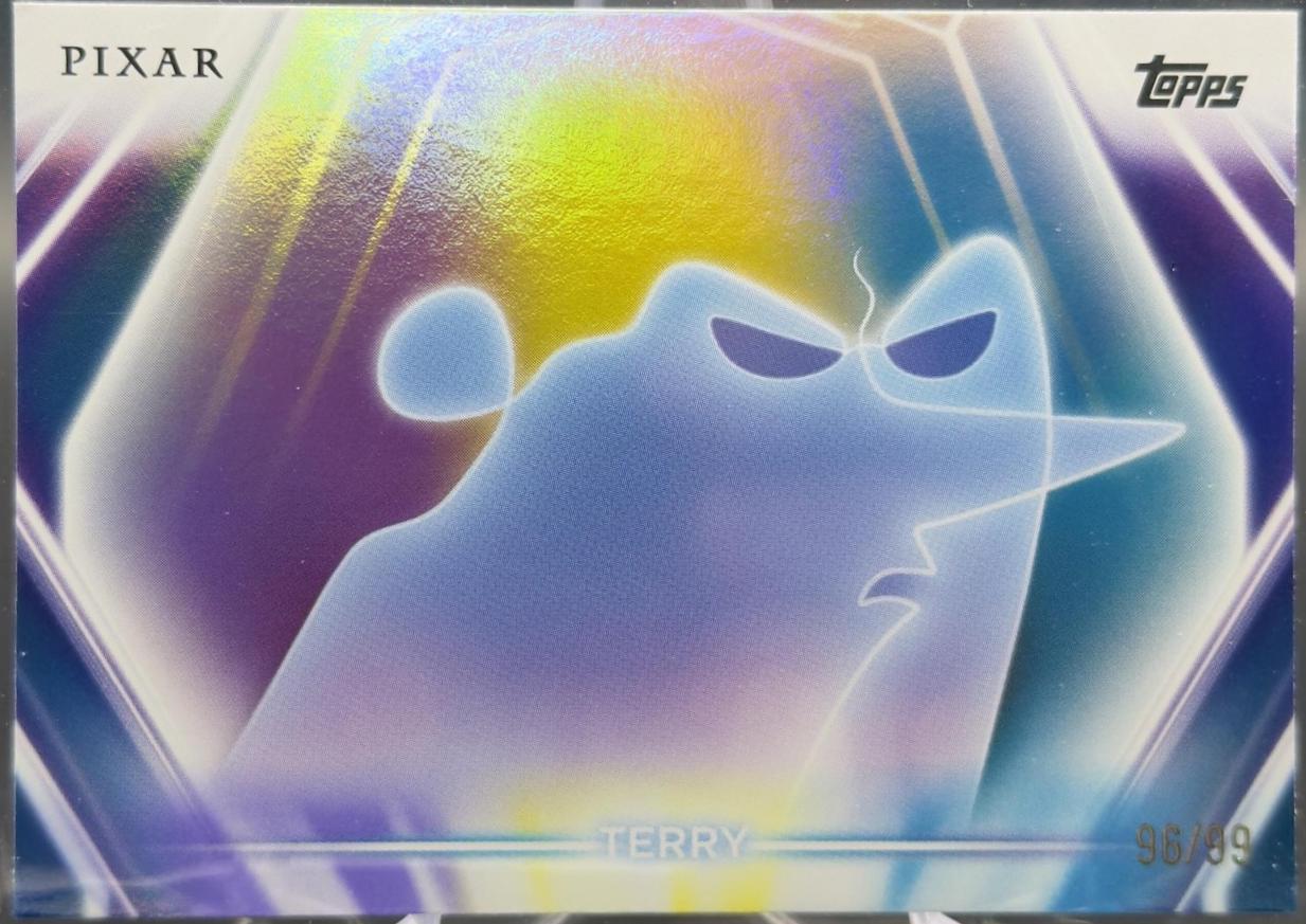 Terry [Purple Yellow Blue] #47