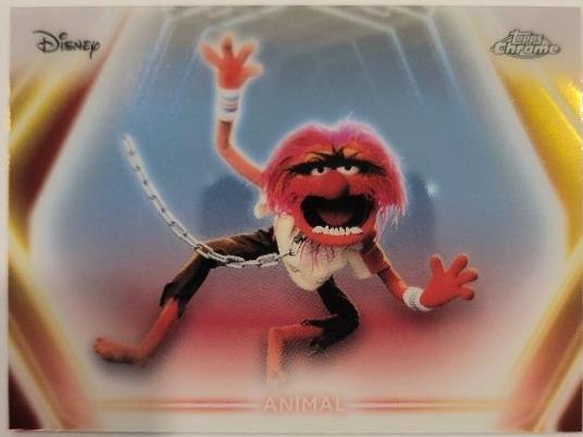 Animal #CNE-194