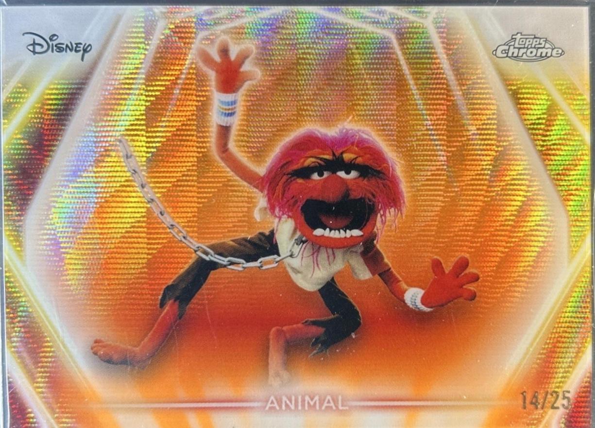 Animal [Orange Wave] #CNE-194